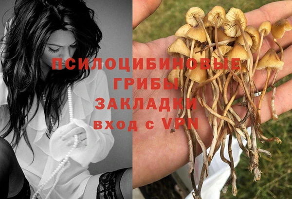 прущая мука Нефтекумск