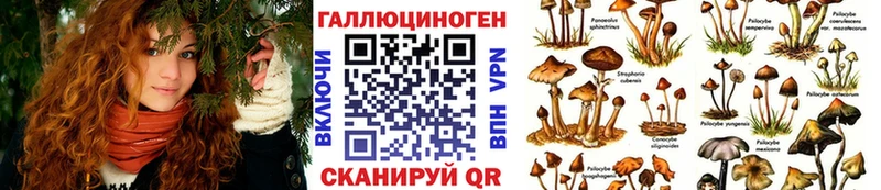 Псилоцибиновые грибы GOLDEN TEACHER  гидра ССЫЛКА  Кимры  закладка 