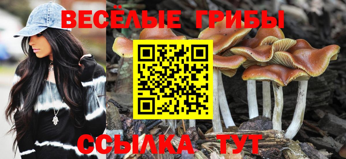 Галлюциногенные грибы мицелий Кимры