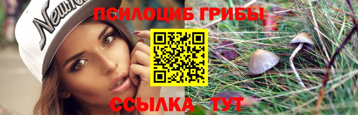 Кимры  Псилоцибиновые грибы мицелий  Вход с VPN 