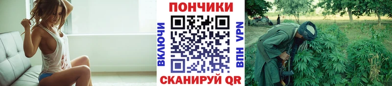 Канабис сатива  hydra зеркало  Кимры 